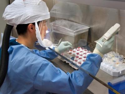 A CDC scientist harvests H7N9 virus for sharing with partner laboratories