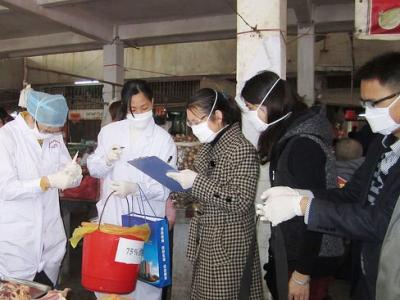 H7N9 investigators