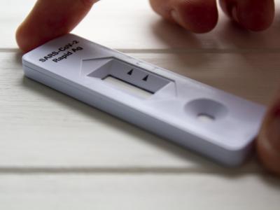 Hand holding a rapid COVID-19 test