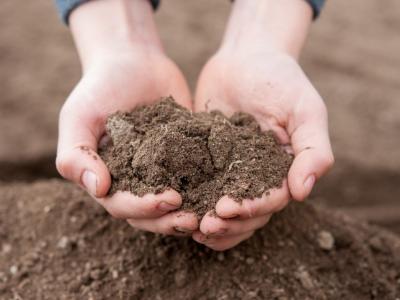 Handfuls of soil