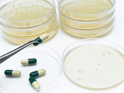 Antibiotics and petri dishes