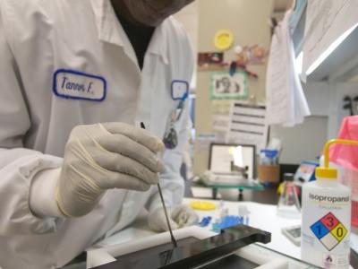 A lab researcher at work.