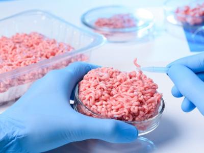Ground beef testing in the lab