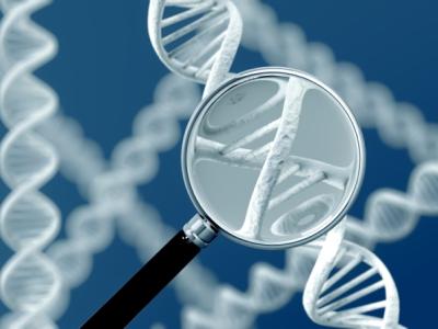 Magnified DNA