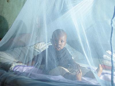 Malaria bed net