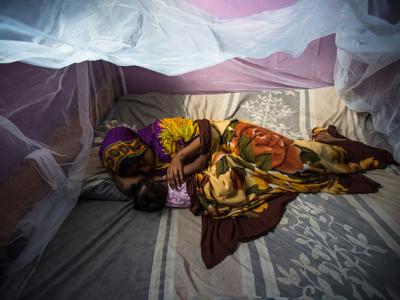 malaria bednet