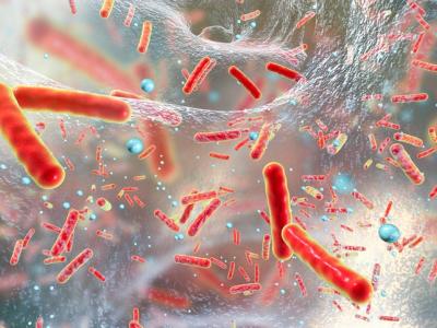 Multidrug-resistant bacteria biofilm