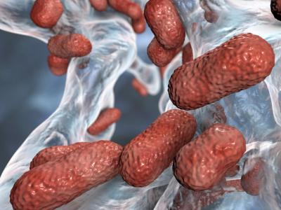 Multidrug-resistant bacteria superbugs