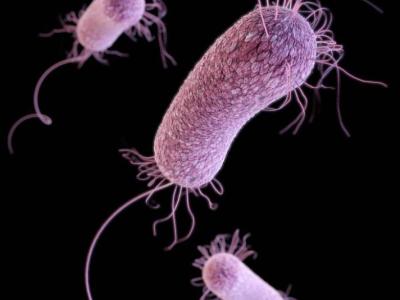 MDR Pseudomonas aeruginosa
