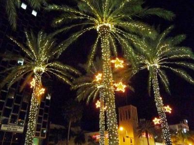 Miami Christmas