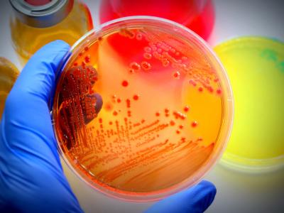 microbiological testing