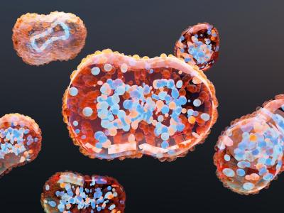 Monkeypos viruses illustration