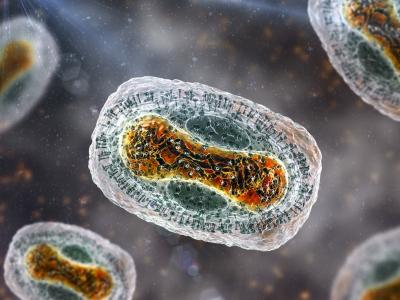 Monkeypox viruses