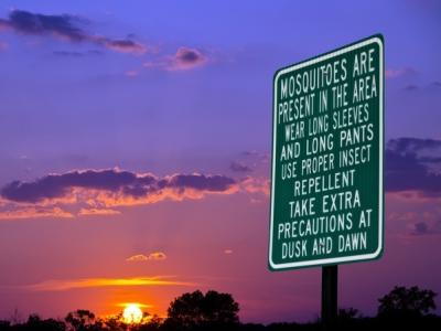 Mosquito sign