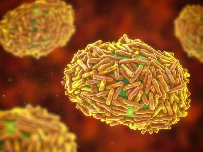 Monkeypox viruses