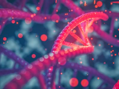 mutation