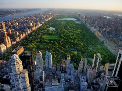 Central Park in New York City
