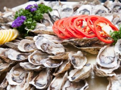 Plate of oysters