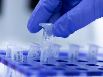 PCR testing with gloved hand