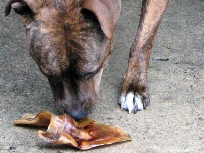 Pig ear dog treat