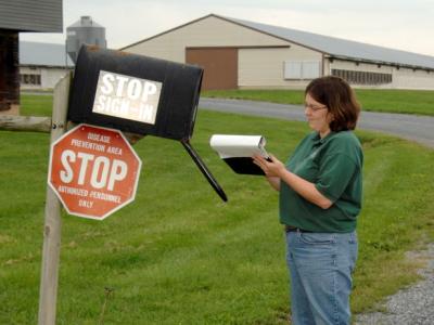 Poultry biosecurity