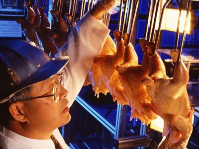 Poultry inspection