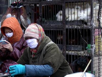 poultry workers