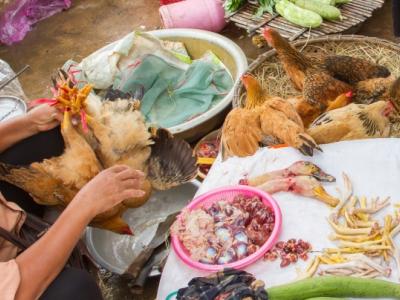 poultry market