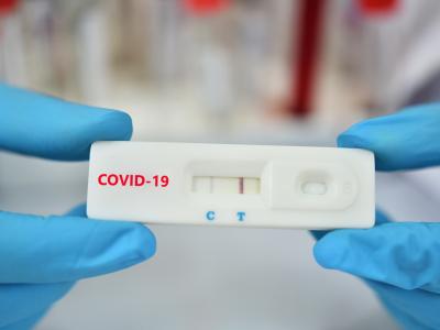 rapid test