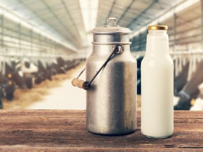 Raw milk in barn