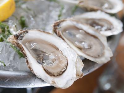Raw oysters