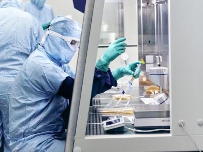 Researcher using biosafety cabinet