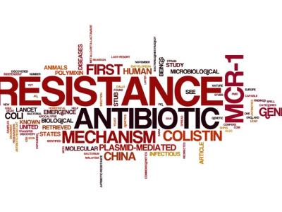 Resistance word cloud