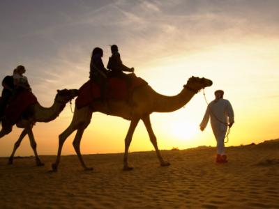 Riding camels