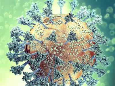 SARS-CoV-2 and its spike proteins