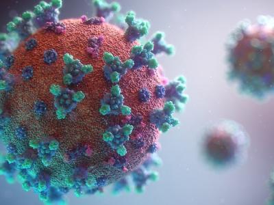 SARS-CoV-2 viruses, which cause COVID-19