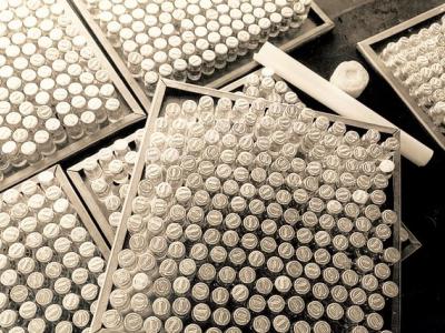 Smallpox vaccine