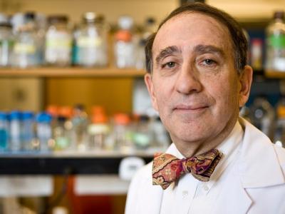 Stuart Levy, MD