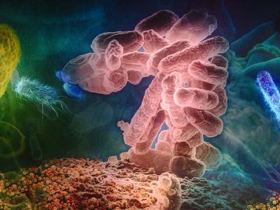 Superbugs