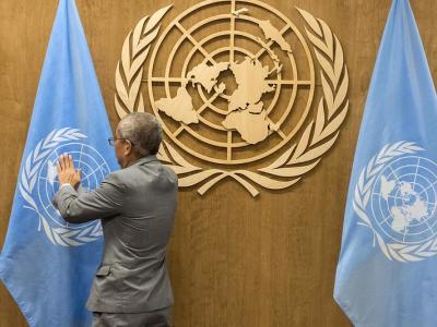 UN flags and logo
