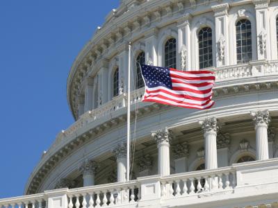 US Capitol with flag