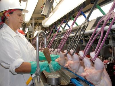 USDA poultry inspector