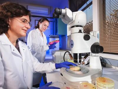 Lab researchers
