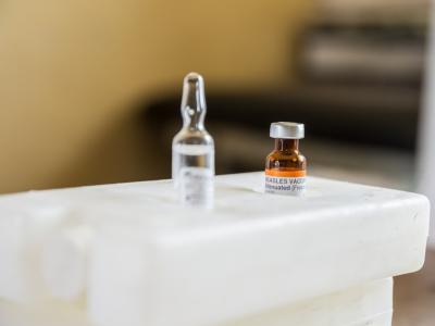 Vaccine cold storage