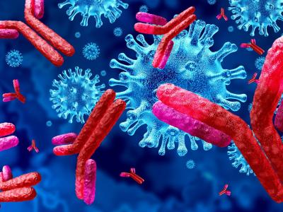 Viruses and antibodies