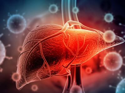 Viruses attacking the liver