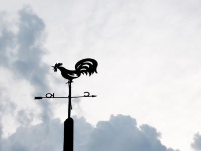Weather vane in wind