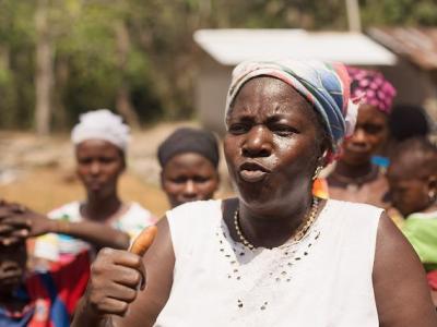 Guinea well project
