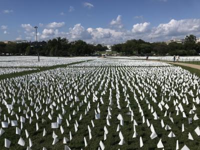 White flag COVID death memorial in front of White House