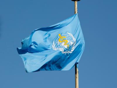 WHO flag